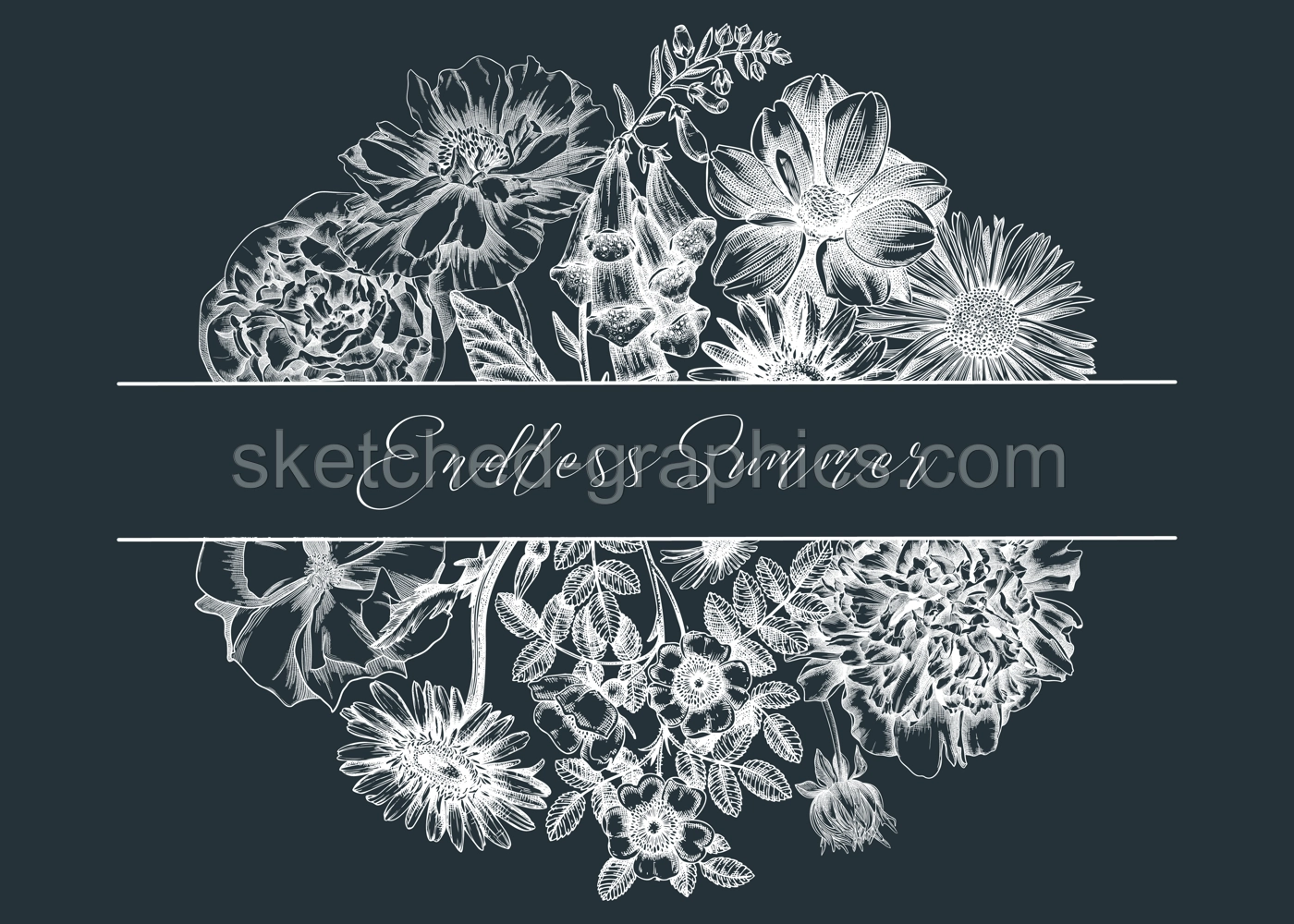 Summer flowers composition in vintage style. Hand-sketched garden plants frame design on chalkboard. Perfect for greeting cards, wedding invites, banners. Botanical illustration with floral outlines. Illustration